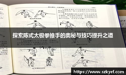 探索陈式太极拳推手的奥秘与技巧提升之道