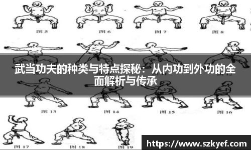 武当功夫的种类与特点探秘：从内功到外功的全面解析与传承