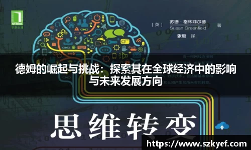 德姆的崛起与挑战：探索其在全球经济中的影响与未来发展方向